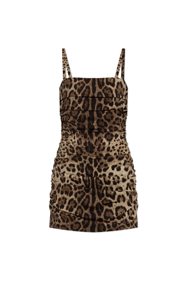 Animal print shorts od Dolce & Gabbana
