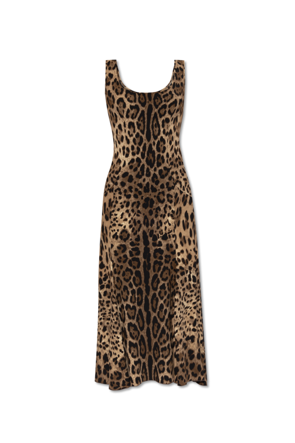 Dolce & Gabbana Sukienka z motywem zwierzęcym