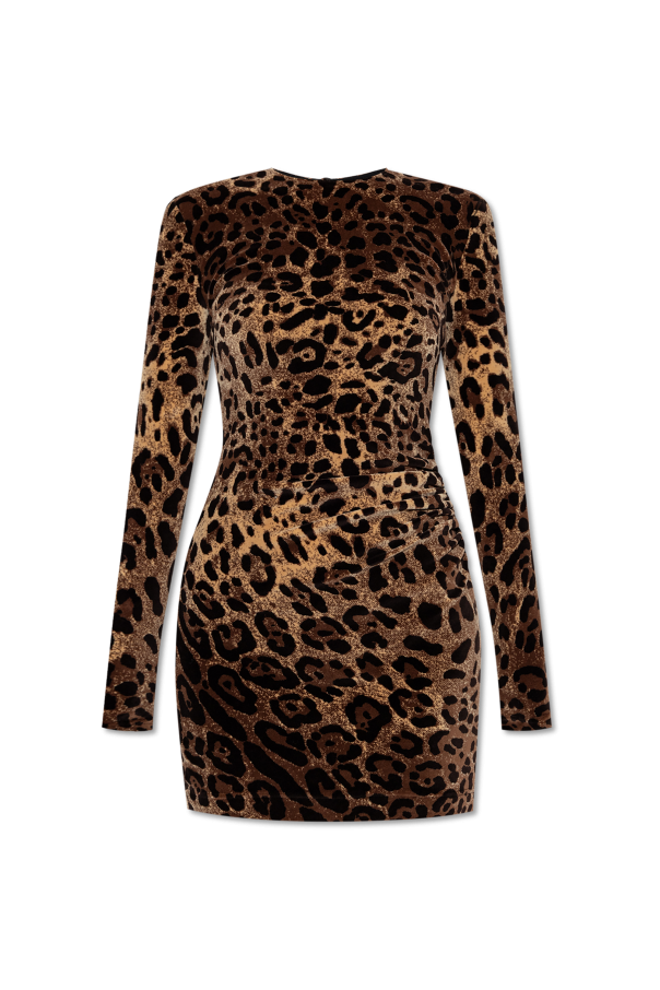 Dolce & Gabbana Dress with animal print