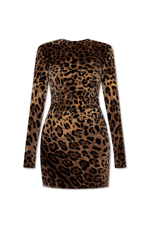 Dress with animal print od Dolce & Gabbana