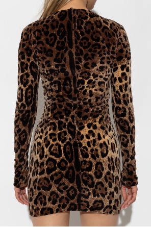 Dolce & Gabbana Dress with animal print