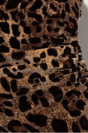 Dolce & Gabbana Dress with animal print