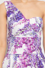 Dolce & Gabbana Dress with floral motif