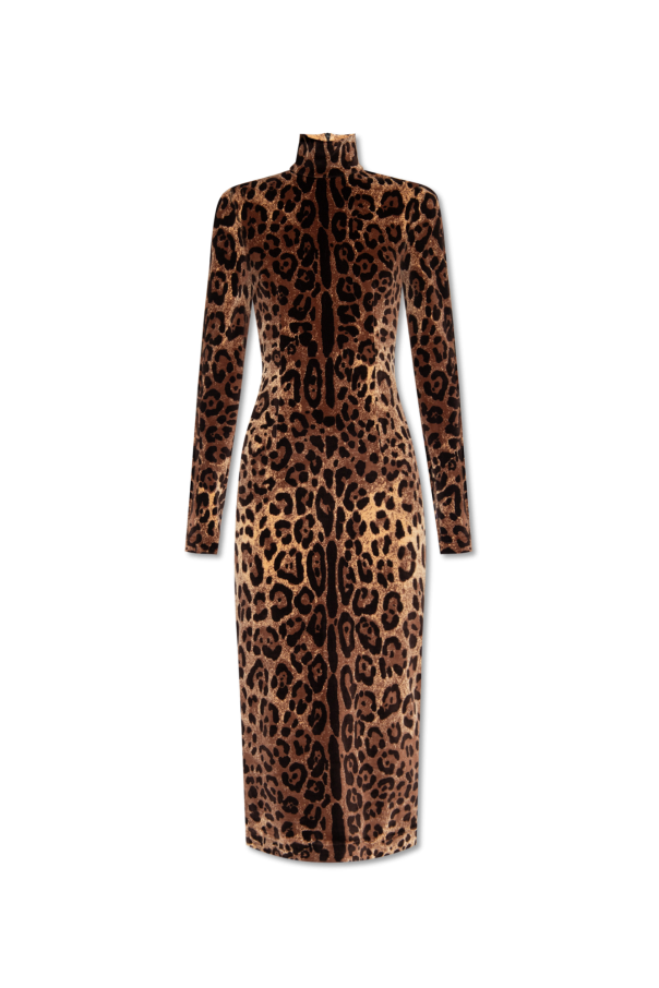 dolce Colour-Block-Optik & Gabbana Dress with animal motif