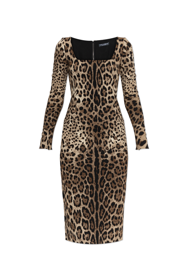 Dress with animal print od Dolce & Gabbana