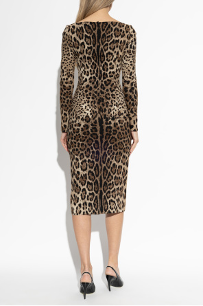 Dolce & Gabbana Dress with animal print