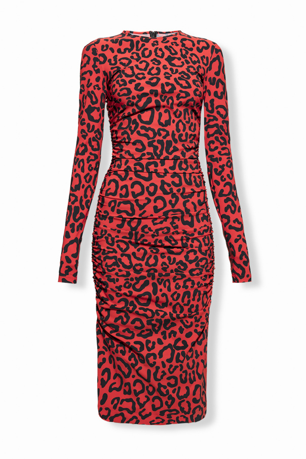 dolce gabanna & Gabbana Dress with animal motif