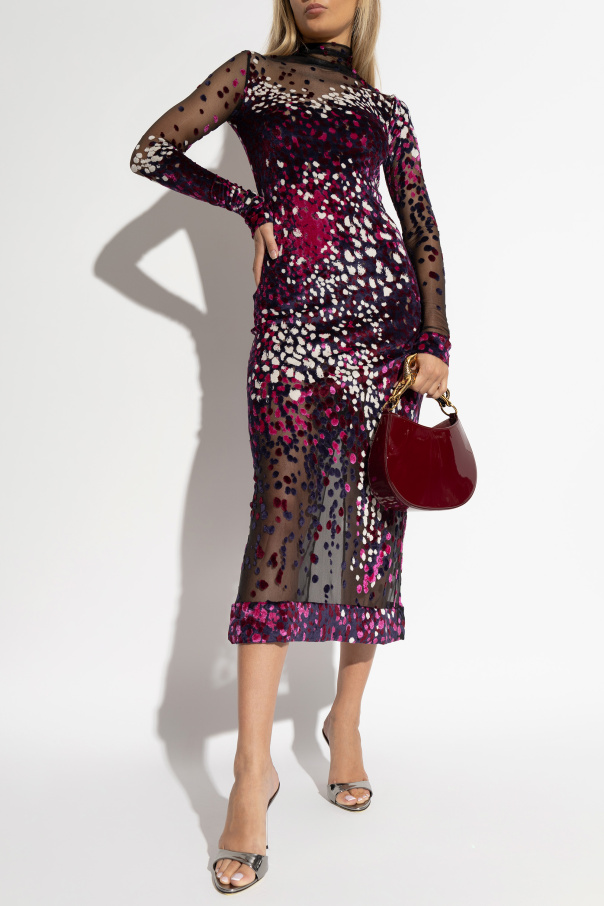 Lanvin Transparent patterned dress