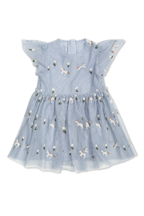 Tulle dress with colorful embroidery