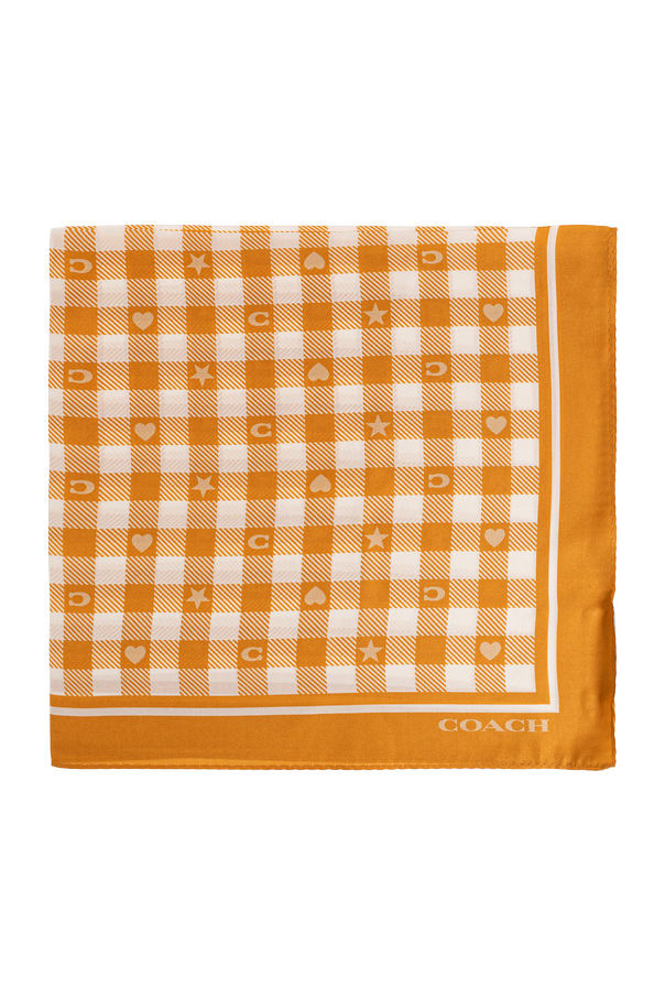 Silk scarf od Coach