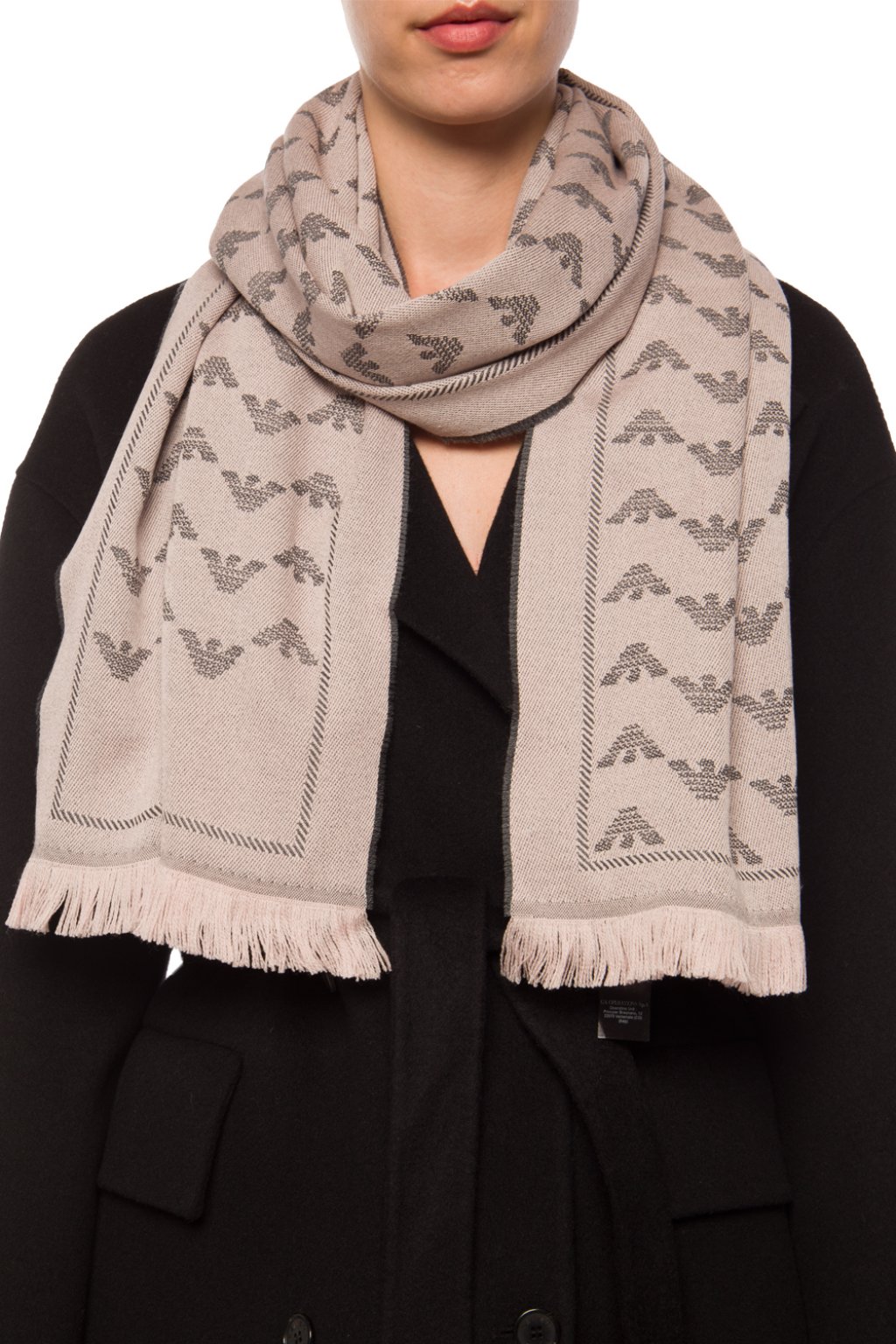 Emporio Armani Patterned scarf with logo | Women's Accessories | Vitkac