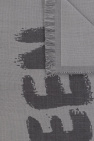 Alexander McQueen Wool scarf