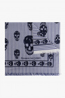 Alexander McQueen Striped scarf