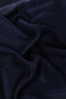 Giorgio Armani Scarf with logo