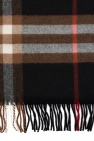 Burberry Patterned scarf