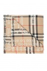 Burberry Printed scarf