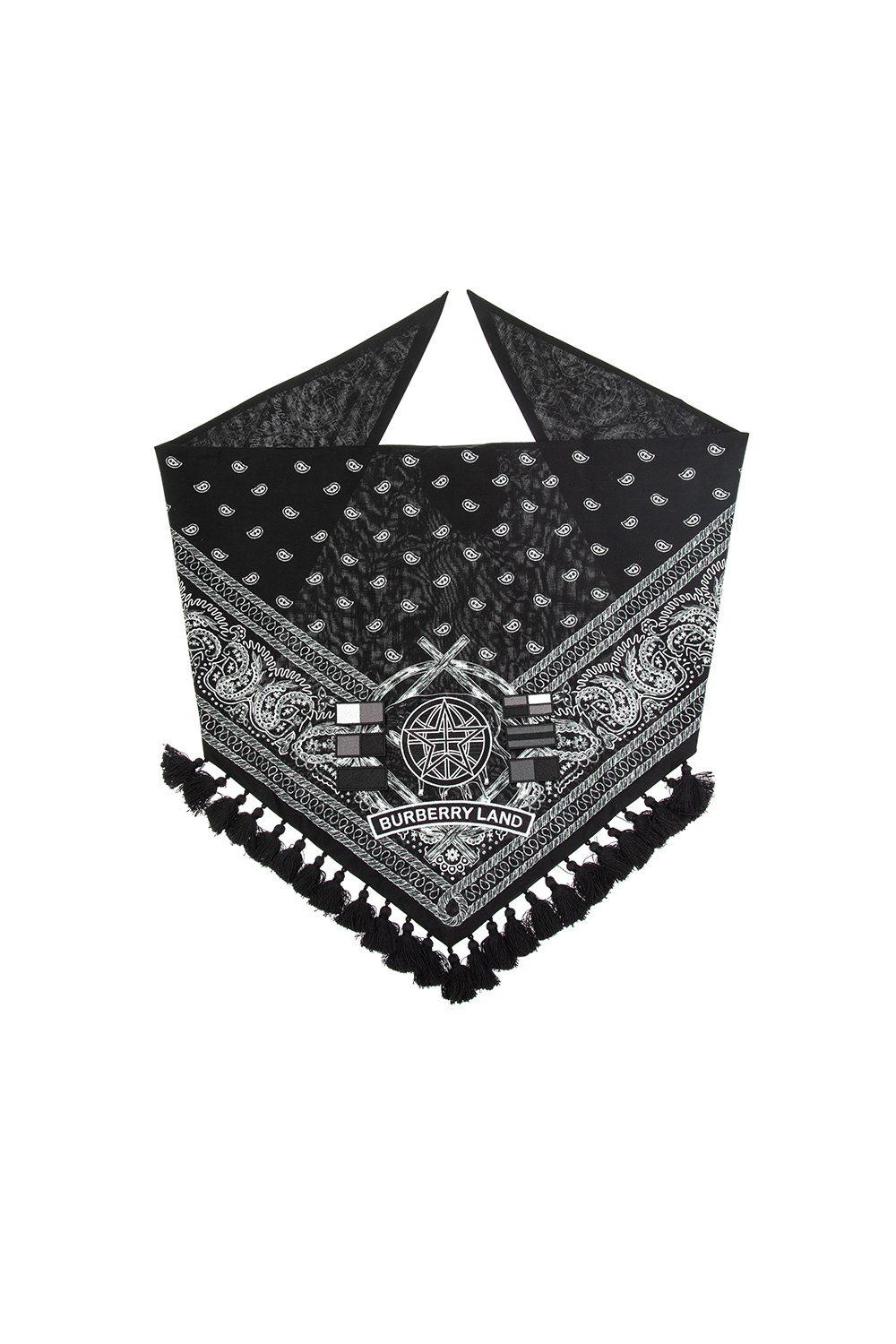 IetpShops | Burberry Paisley scarf | Men's Accessories | Шарф шаль хустку  палантин burberry 190x70 100% cashmere оригінал