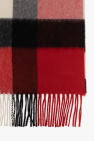 Burberry Cashmere scarf
