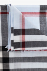 Burberry light blue Checked scarf