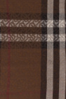 Burberry Checked scarf