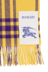 Burberry Cashmere scarf