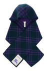 Burberry Scarf with hood