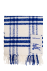Burberry Wool scarf