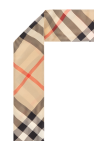 Burberry Silk scarf