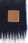 Loewe MULTICOLOUR Scarf with logo