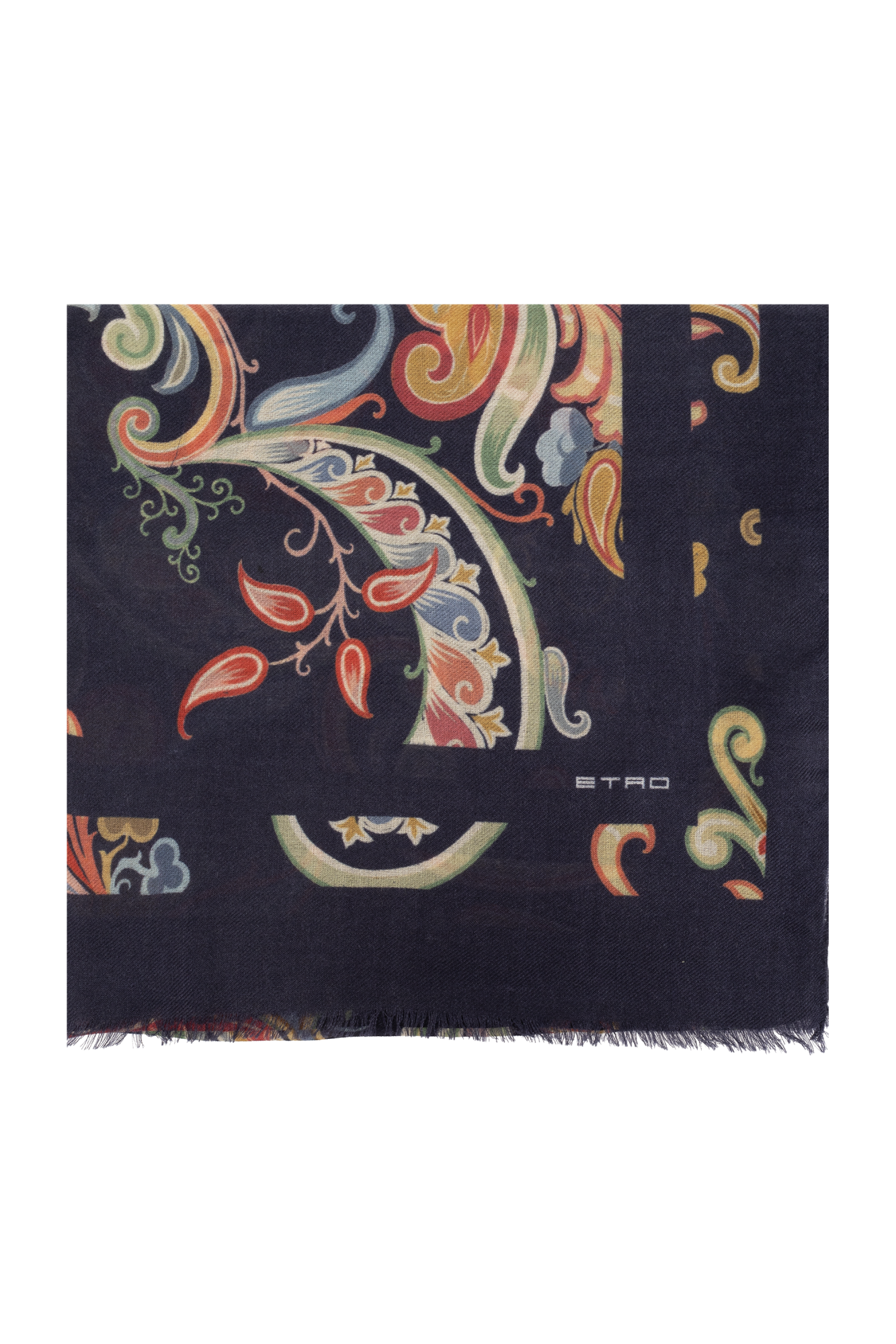 Etro Scarf with a pattern