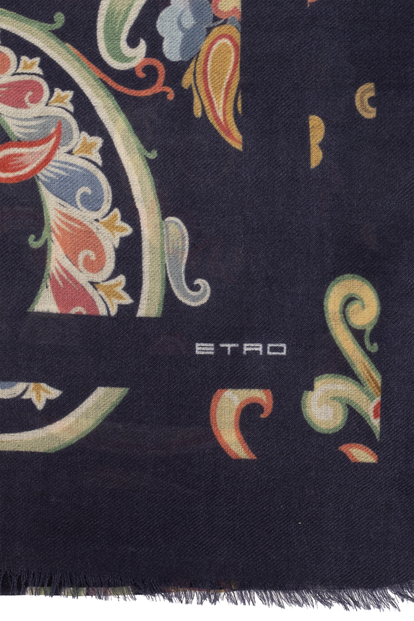 Etro Scarf with a pattern