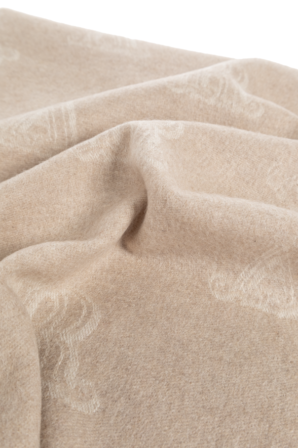 Max Mara Chal de cachemira ‘Wsklause’