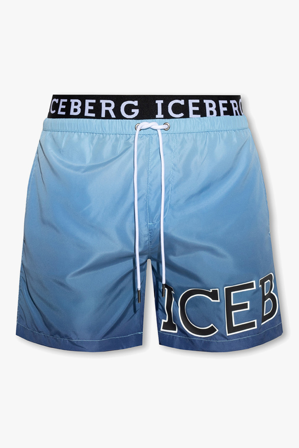 Iceberg Comme Des Garçons Homme Plus pinstripe short pants