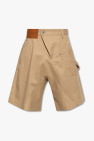 The North Face Anticline Lacoste Shorts in Braun
