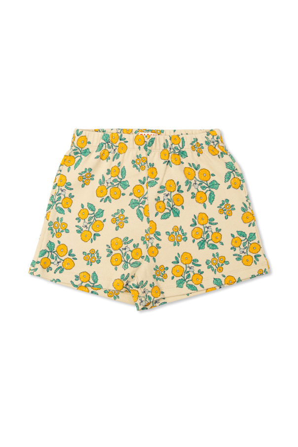 Tiny Cottons Ribbed Shorts