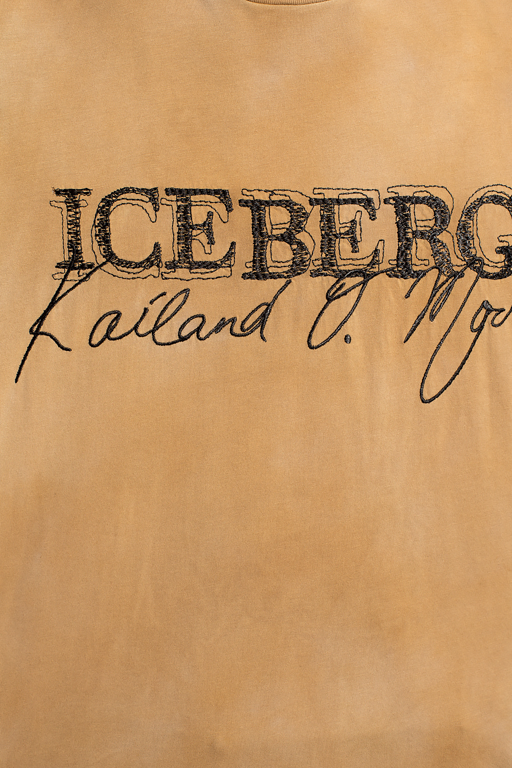 Iceberg Logo T-shirt