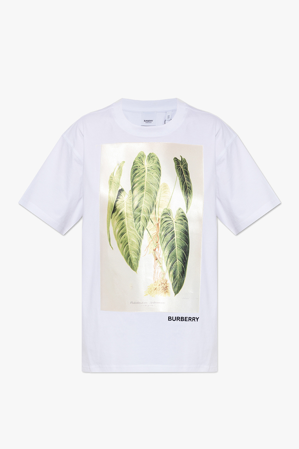 burberry Horseferry ‘Carrick Botanical’ T-shirt