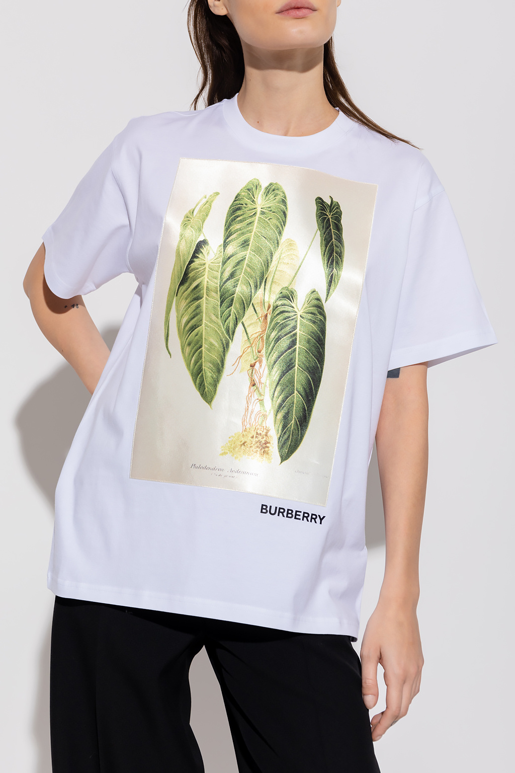 burberry Horseferry ‘Carrick Botanical’ T-shirt