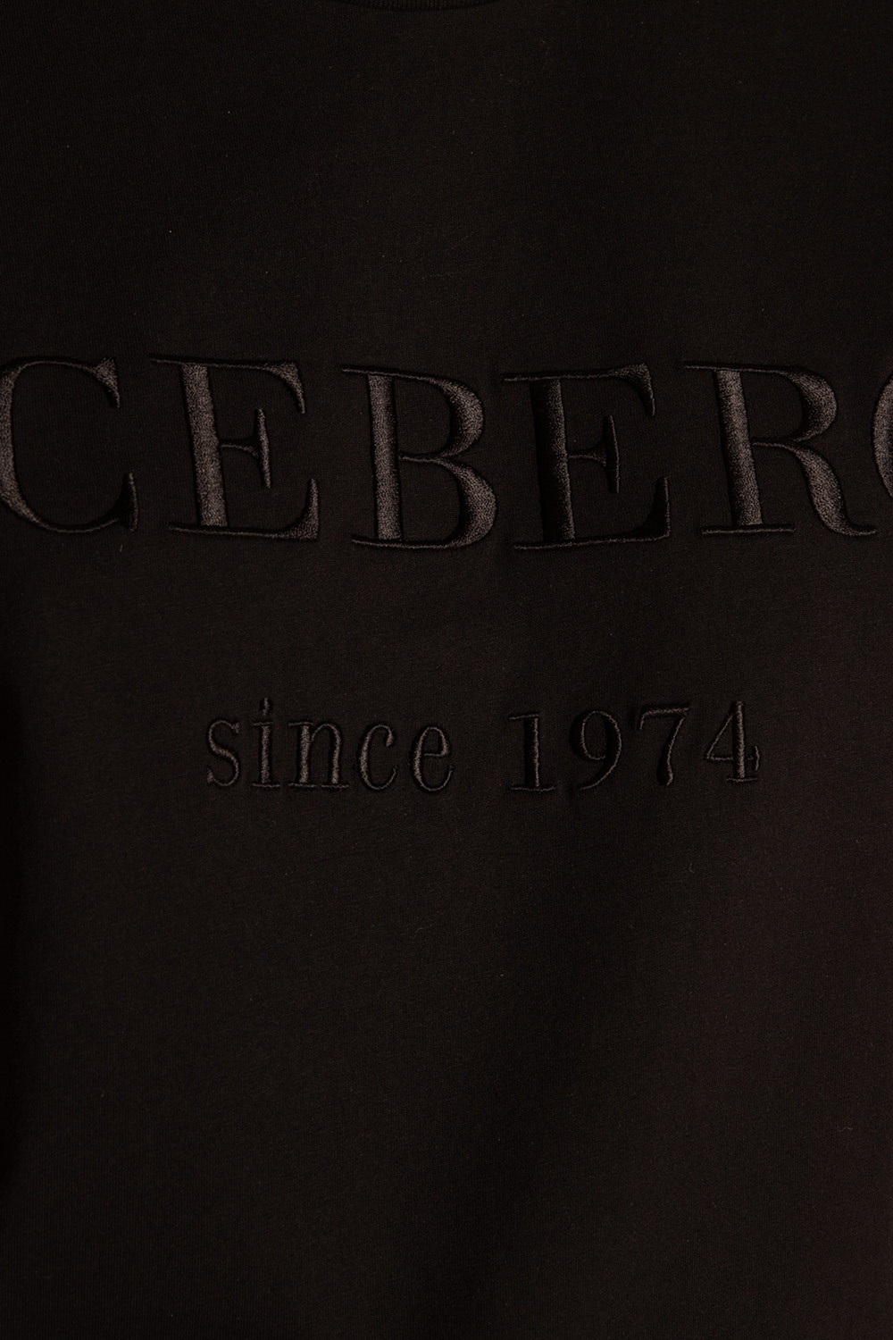 Iceberg Logo T-shirt