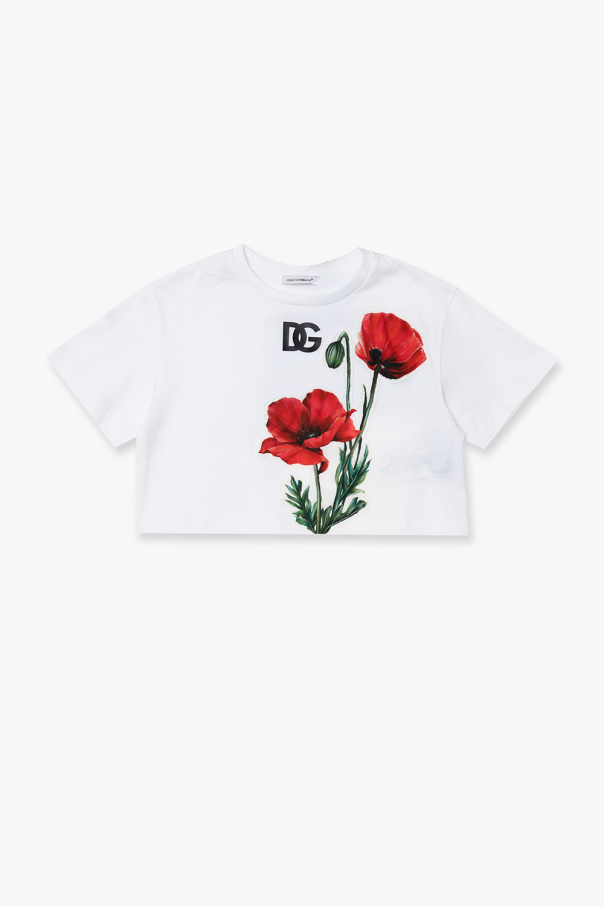 dolce & gabbana panelled sneaker Cropped T-shirt