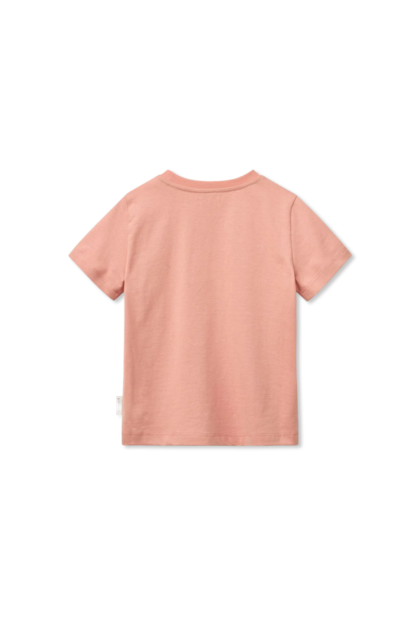 Liewood T-shirt `Francis`