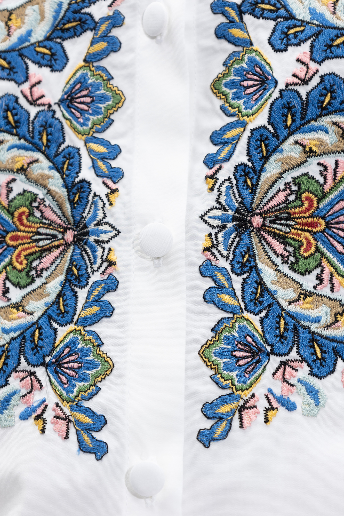 Etro Embroidered cotton shirt