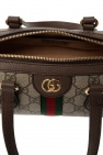 gucci Fall-Ready ‘Ophidia’ shoulder bag