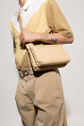 bottega frame Veneta ‘Classic Hidrology Small’ shoulder bag