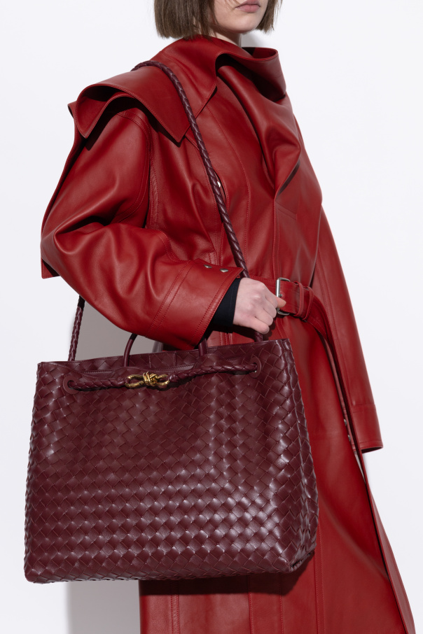 Bottega Veneta Handbag Andiamo Large